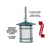 120V/12V LED Oakhurst Contempo Style Hanging Light (11" Width)