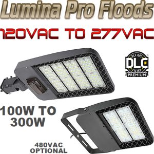 Lumina Pro Series LED Parking Lot Pole / Area Flood Lights, 100 to 300 Watts, DLC Premium