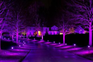 Pathway to a home at night illuminated by pathway lights - Shop C2CLights.com.