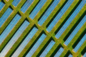 A field of solar power banks against green grass - Visit C2CLights.com.