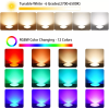 rgbw-large-well-lights-color-white-options