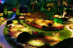 LED landscape lighting kits - Shop C2CLights.com.