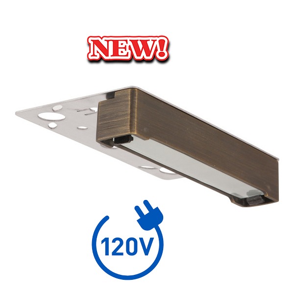 7″ 120V 3 or 6W Brass LED Hardscape Light - Shop C2CLights.com. 
