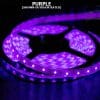 LED Strip Light Tape, 1.5W Per Foot 12V 3528 SMD – 16.4 Feet LED Strip Light Tape, 1.5W Per Foot 12V 3528 SMD - 16.4 Feet