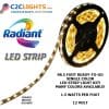 LED Strip Light Tape Kit, 1.5W Per Foot 12V 3528 SMD - 98.5 Feet