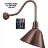 Classic Angled Gooseneck LED Wall / Sign Light (14" Head, 120V/12V)