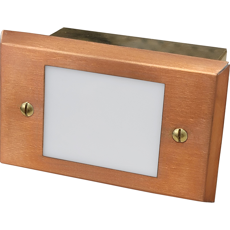 "Little Dan" Small LED Open Face Recessed Step Light (12V or 120V)