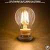 120v 8 Watt A19 LED Filament Bulb - 800-850 Lumens