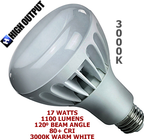 17 Watt 120v LED Medium Base R30 Bulb 3000K (High Output)