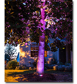 Landscape Outdoor Lighting - Image #6