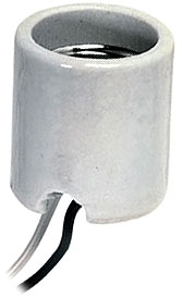 Medium Base Socket - 12v/120v
