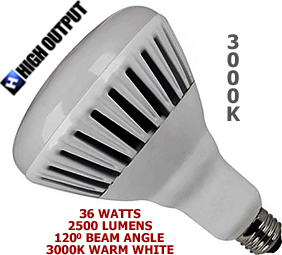 36 Watt 120v LED Medium Base R40 Bulb 3000K (High Output)
