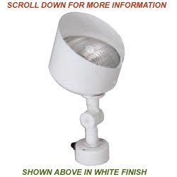 Solid Brass General Purpose PAR36 12v Flood