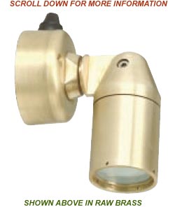 Solid Brass Adjustable Mini Wall / Ceiling Tasklight