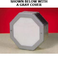 Octagon Shaped LED Paver Light (12V or 120V)